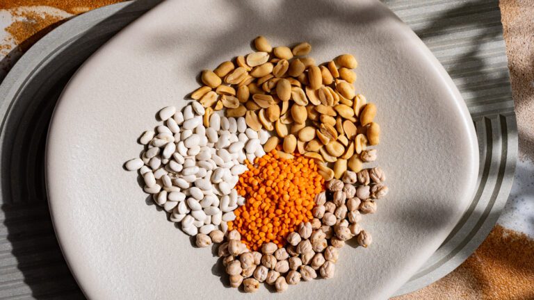 Legumes – everything you need to know!