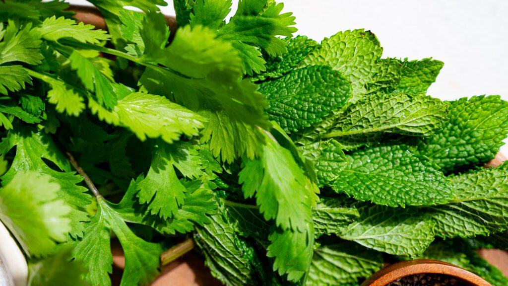 Fresh herbs: parsley, coriander and mint in a bowl.